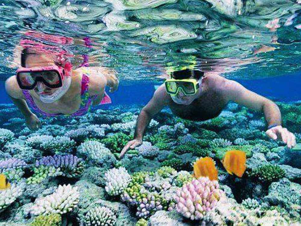 andaman tour package reviews
