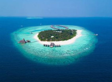 Service gallery image