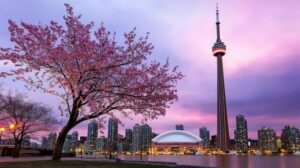 The Art of the Maple Leaf Life: Discovering Canada’s Maple Secret