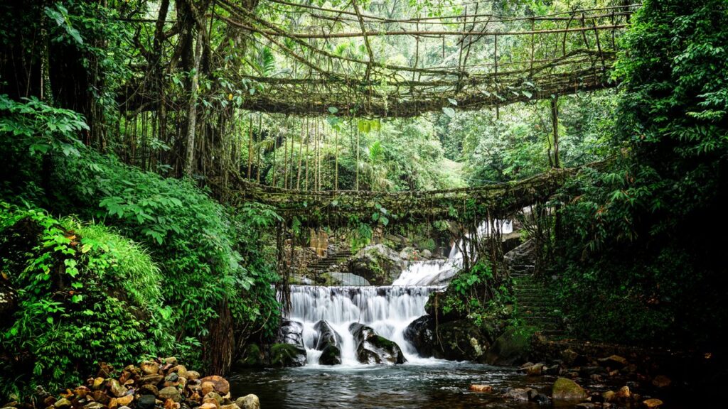 Beyond the Clouds: Discovering the Unseen Meghalaya